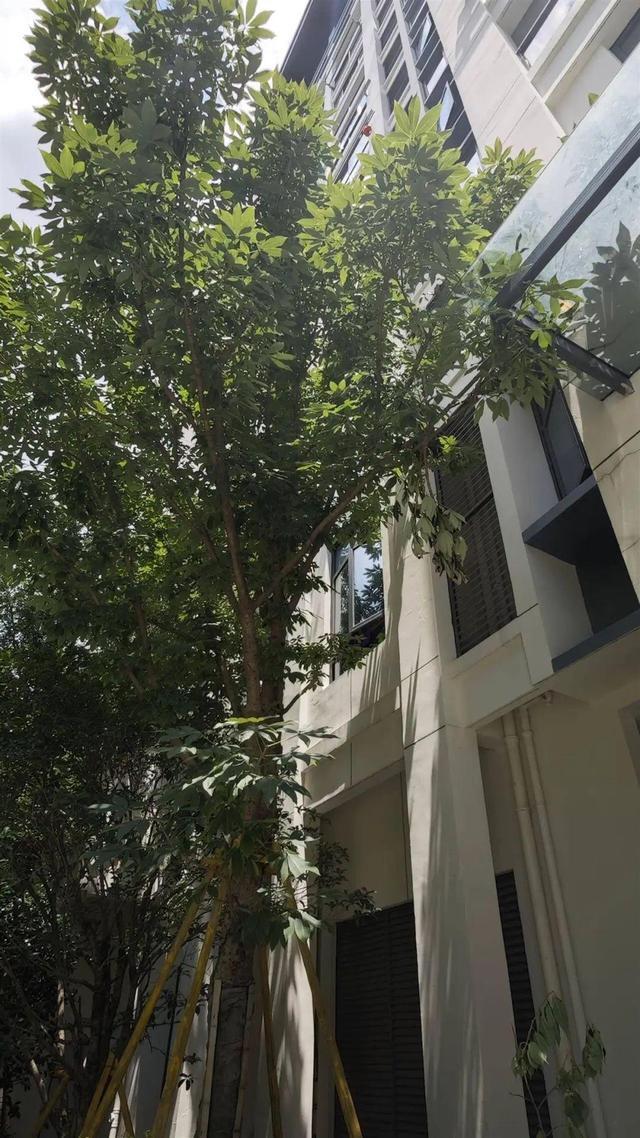 温州7岁男孩补课期间从14楼坠亡：刚上了一周课 警方介入