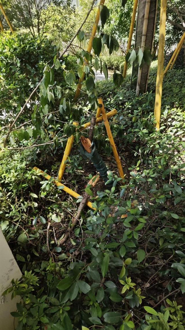 温州7岁男孩补课期间从14楼坠亡：刚上了一周课 警方介入