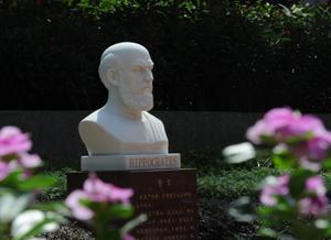 697分选临床医学，我是怎么和这个专业和解的？