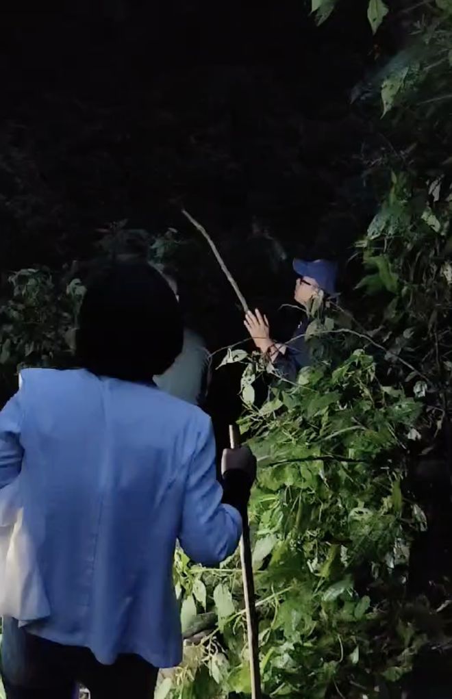 全网牵挂走失苍山的男童！民宿女老板带60岁厨师阿姨参与救援：不出力一晚上睡不着