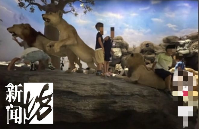 多名小孩翻越围栏触碰标本，志愿者称曾有活体被摸死，上海自然博物馆回应：将加强巡逻