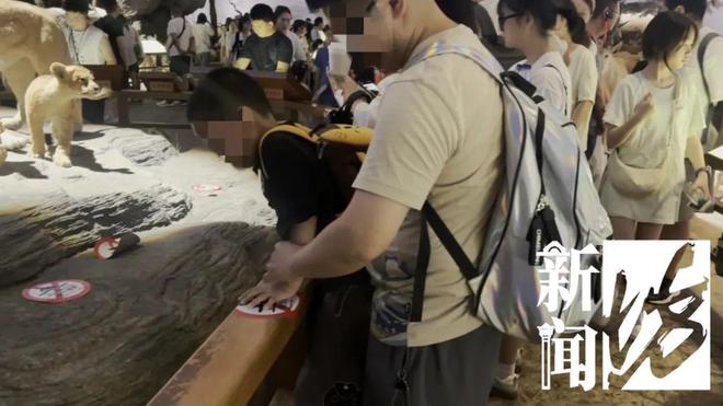 多名小孩翻越围栏触碰标本，志愿者称曾有活体被摸死，上海自然博物馆回应：将加强巡逻