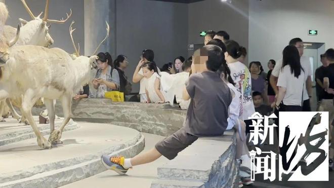 多名小孩翻越围栏触碰标本，志愿者称曾有活体被摸死，上海自然博物馆回应：将加强巡逻
