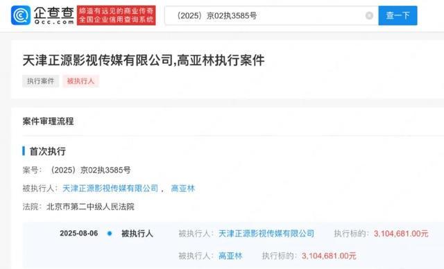 演员高亚麟及关联公司被强制执行310万余元