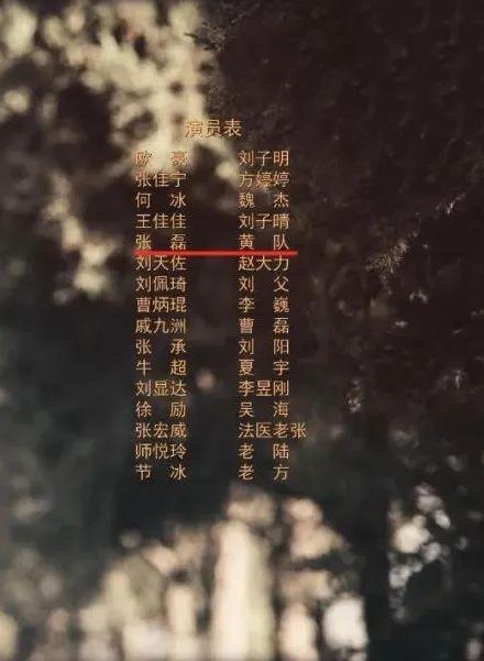 演员高亚麟及关联公司被强制执行310万余元