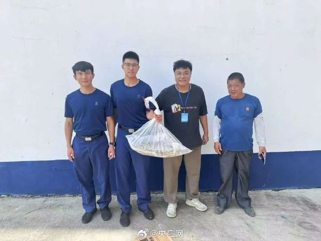 佛山一公园树上现2米长巨蟒