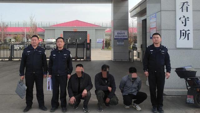 三门峡灵宝：竟然向村民祖坟下手！俩盗伐柏树团伙被一网打尽